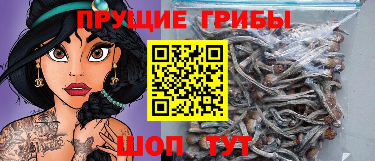 Архангельск  Галлюциногенные грибы прущие грибы  Вход с VPN  магазин    Псилоцибиновые грибы Psilocybe 