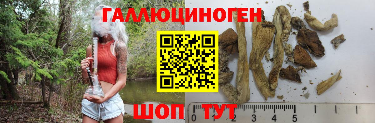 Псилоцибиновые грибы MAGIC MUSHROOMS Архангельск